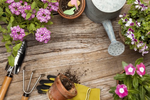 Tree removal and stump grinding service in Northwood