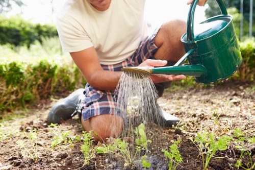 Gardening services in Northwood for a neatly maintained residential garden