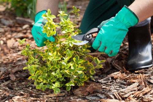 PPE used by gardeners for safe hedge trimming and garden care