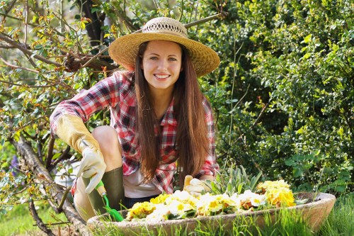 Professional Northwood garden maintenance with lawn and hedge care