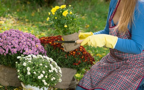 Final section of legal terms for a UK gardening service
