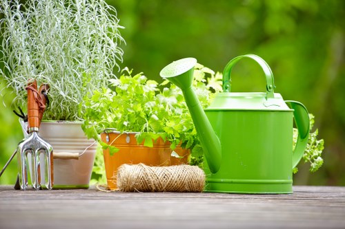 Moss and algae removal from a patio in Northwood