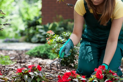 Team of gardeners applying safety checks before outdoor work