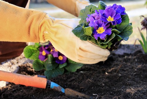 Seasonal gardening services in Northwood for tidy lawns and borders