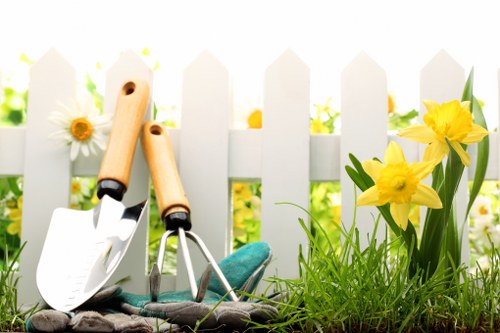 Cleared residential garden space in Northwood