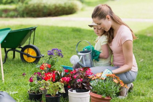Professional garden maintenance in a Northwood home garden
