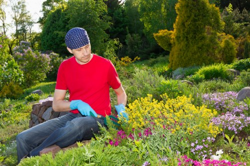 Seasonal planting scheme for a Northwood landscaped garden
