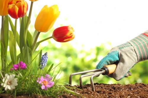 Northwood gardening team providing planting and general garden upkeep