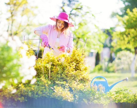 Hedge trimming and border care from Gardeners Northwood