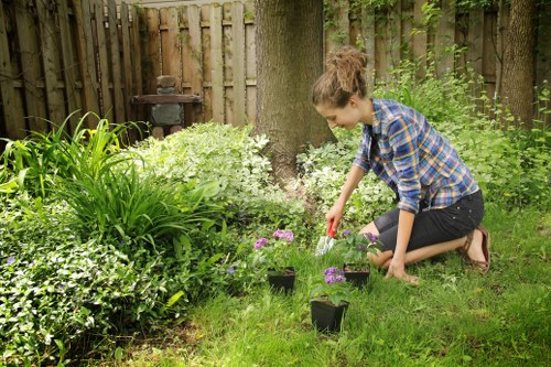 Illustration representing ongoing inclusive improvements for Northwood gardening