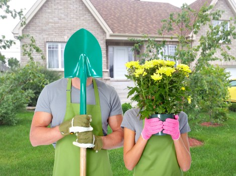 Removal of branches and green waste in Northwood