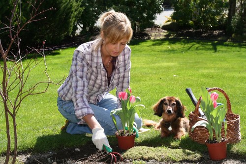 Modern landscape gardening in Northwood with patio and privacy planting