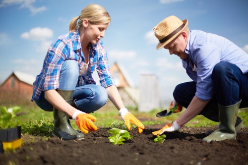 Seasonal planting and lawn care by Northwood gardeners