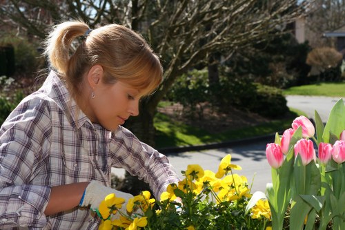 Lawn care maintenance tools and fertilization setup in Northwood