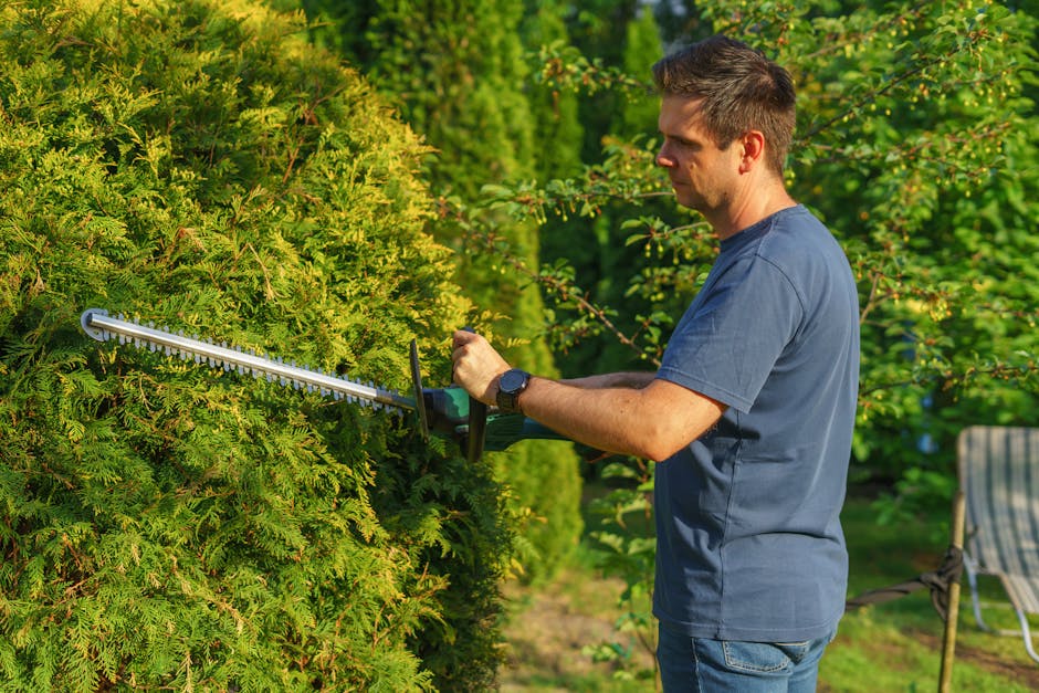 A neatly trimmed, dense green hedge runs along the edge of a paved sidewalk, with a uniform height and tightly packed foliage. The hedge has a textured, vibrant surface composed of small leaves, and a